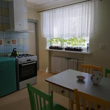 Country house Retro Vila *